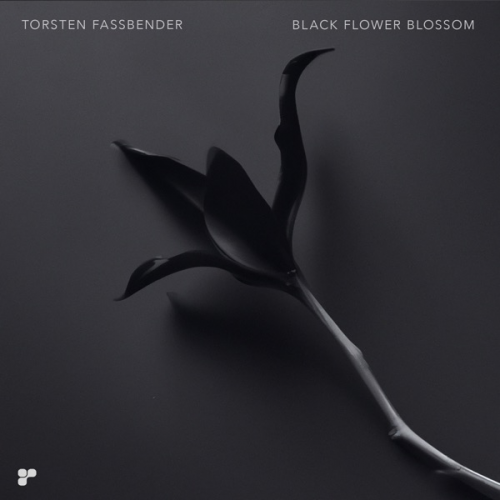 Torsten Fassbender – Black Flower Blossom (2023)