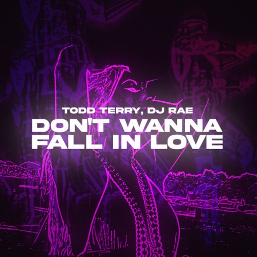 Todd Terry & DJ Rae - Don't Wanna Fall In Love (2023) Download