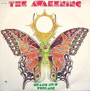 The Awakening – Brand New Feeling (1976)