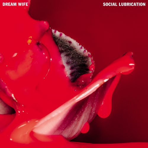 Dream Wife - Social Lubrication (2023) Download