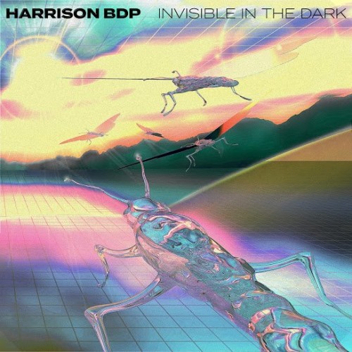 Harrison BDP - Invisible in the Dark (2021) Download