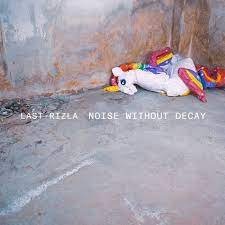 Last Rizla - Noise Without Decay (2023) Download