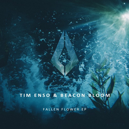 Tim Enso & Beacon Bloom - Fallen Flower (2023) Download