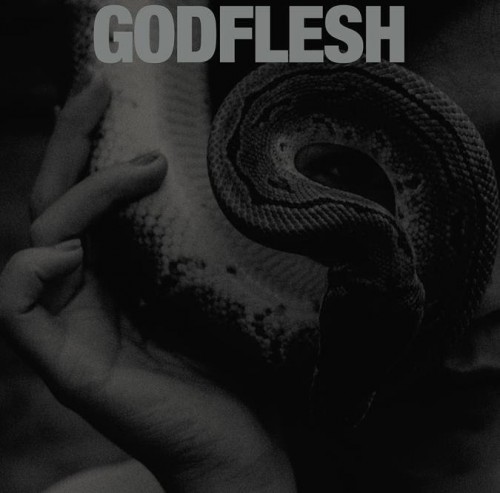 Godflesh - PURGE (2023) Download