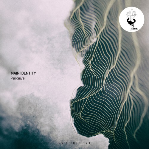 Main Identity - Perceive (2023) Download