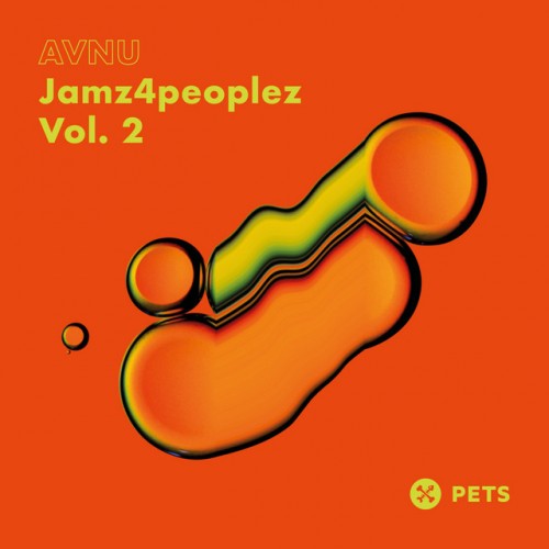 AVNU (UK) - Jamz4peoplez, Vol 2 EP (2023) Download