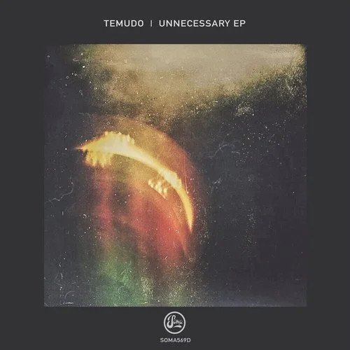 Temudo – Unnecessary EP (2020)