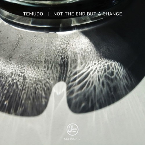 Temudo – Not The End But A Change (2020)