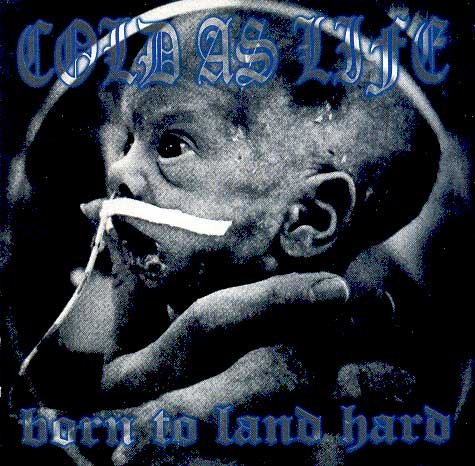 Cold As Life - Born To Land Hard (2021) Download