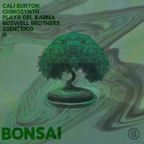 Various Artists - Bonsai (2023) Download