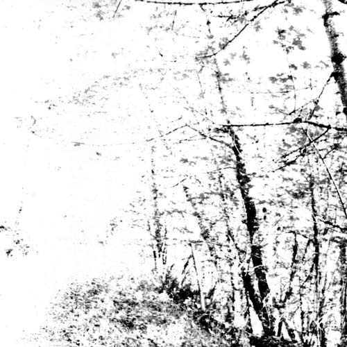 Agalloch - The White (2019) Download