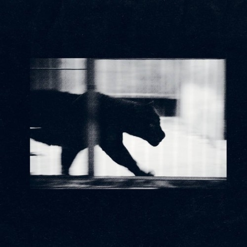 Nørbak - Verdade Absoluta EP (2023) Download