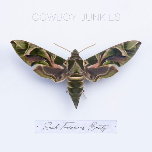 Cowboy Junkies-Such Ferocious Beauty-16BIT-WEB-FLAC-2023-ENRiCH