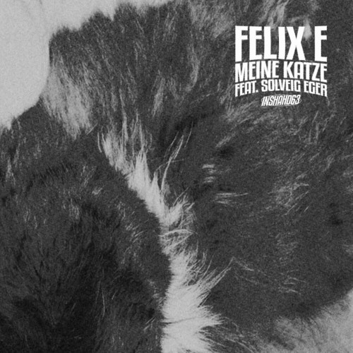 Felix E feat. Solveig Eger - Meine Katze (2023) Download