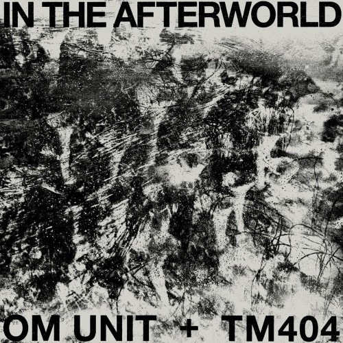 Om Unit and TM404 - In The Afterworld (2023) Download