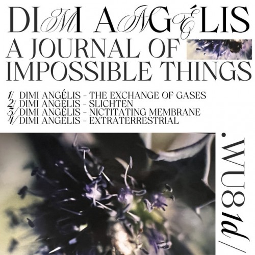Dimi Angélis – A Journal of Impossible Things (2023)
