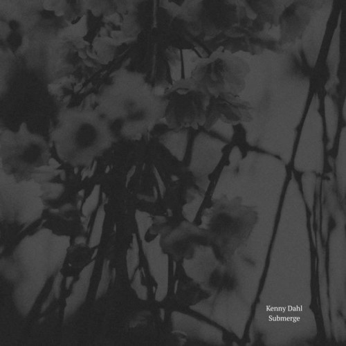 Kenny Dahl - Submerge (2023) Download