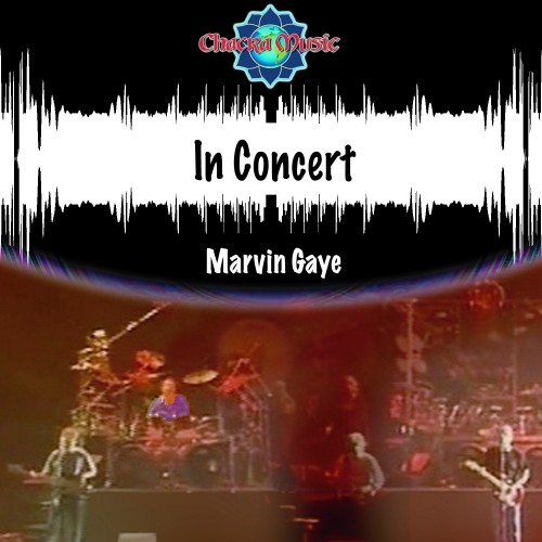 Marvin Gaye - In Concert (1993) Download