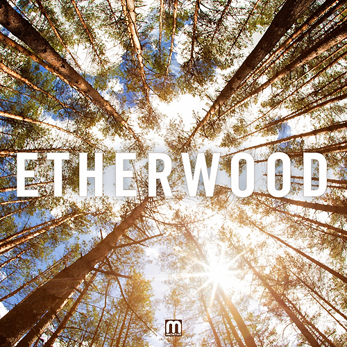 Etherwood – Etherwood (2013)