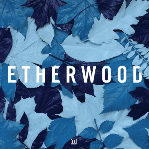 Etherwood-Blue Leaves-CD-FLAC-2015-DeVOiD