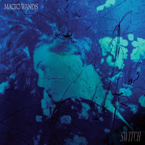 Magic Wands - Switch (2023) Download