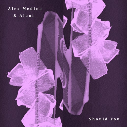 Alex Medina & Alani - Should You / Broken Window (2023) Download