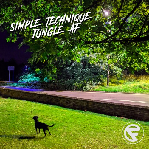 Simple Technique - Jungle AF (2023) Download