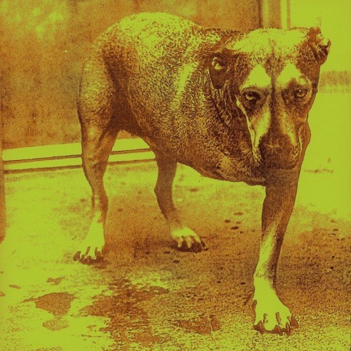 Alice In Chains - Alice In Chains (1995) Download