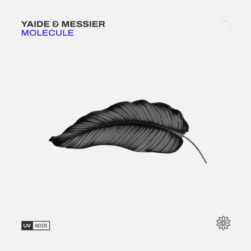 YAIDE & Messier - Molecule (2023) Download