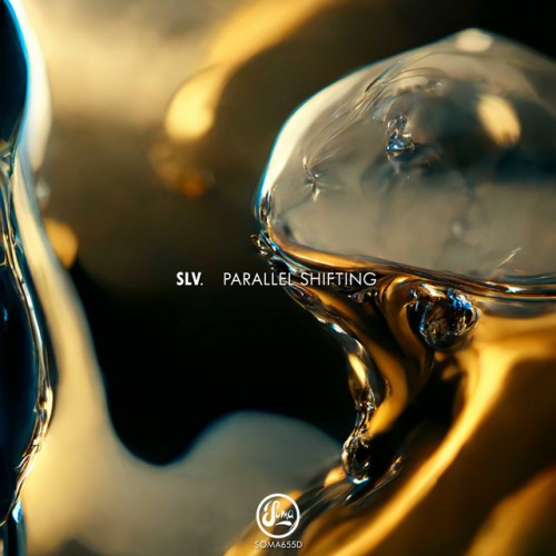 SLV – Parallel Shifting EP (2023)