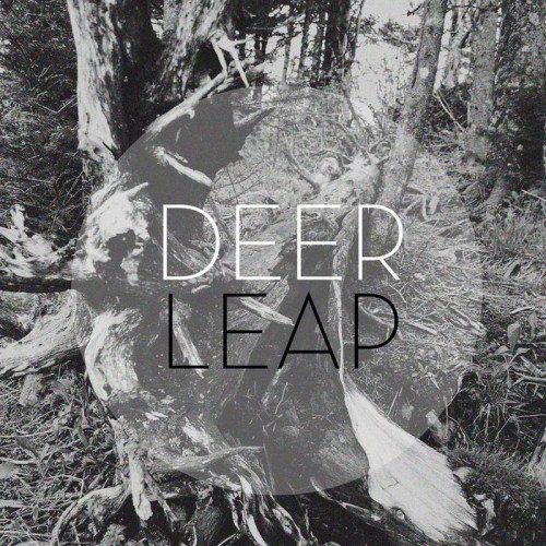 Deer Leap – Here. Home. (2012)