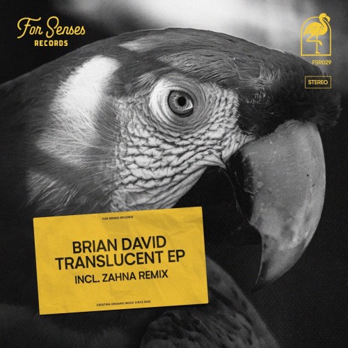 Brian David – Translucent (2023)