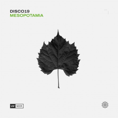 DISCO19 - Mesopotamia (2023) Download