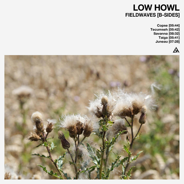 Low Howl-Fieldwaves-B-Sides-24BIT-WEB-FLAC-2022-BABAS