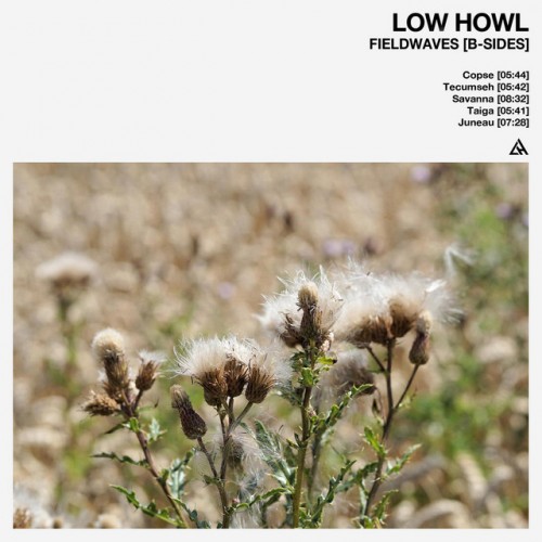 Low Howl - Fieldwaves: B-Sides (2022) Download