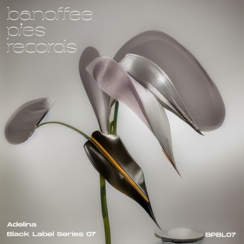 Adelina - Black Label Series 07 (2023) Download
