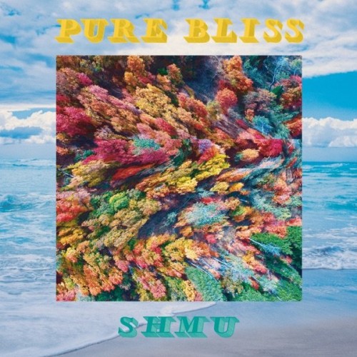 Shmu - Pure Bliss (2020) Download
