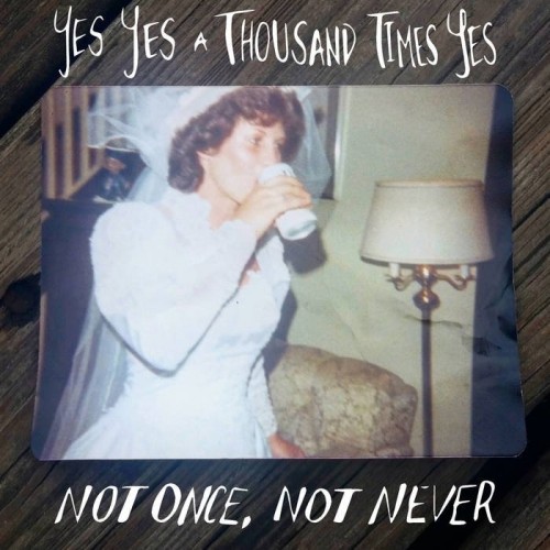 Yes Yes A Thousand Times Yes – Not Once, Not Never (2016)