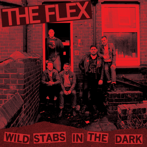 The Flex - Wild Stabs In The Dark (2014) Download