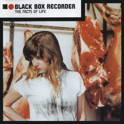 Black Box Recorder – The Facts Of Life (2000)