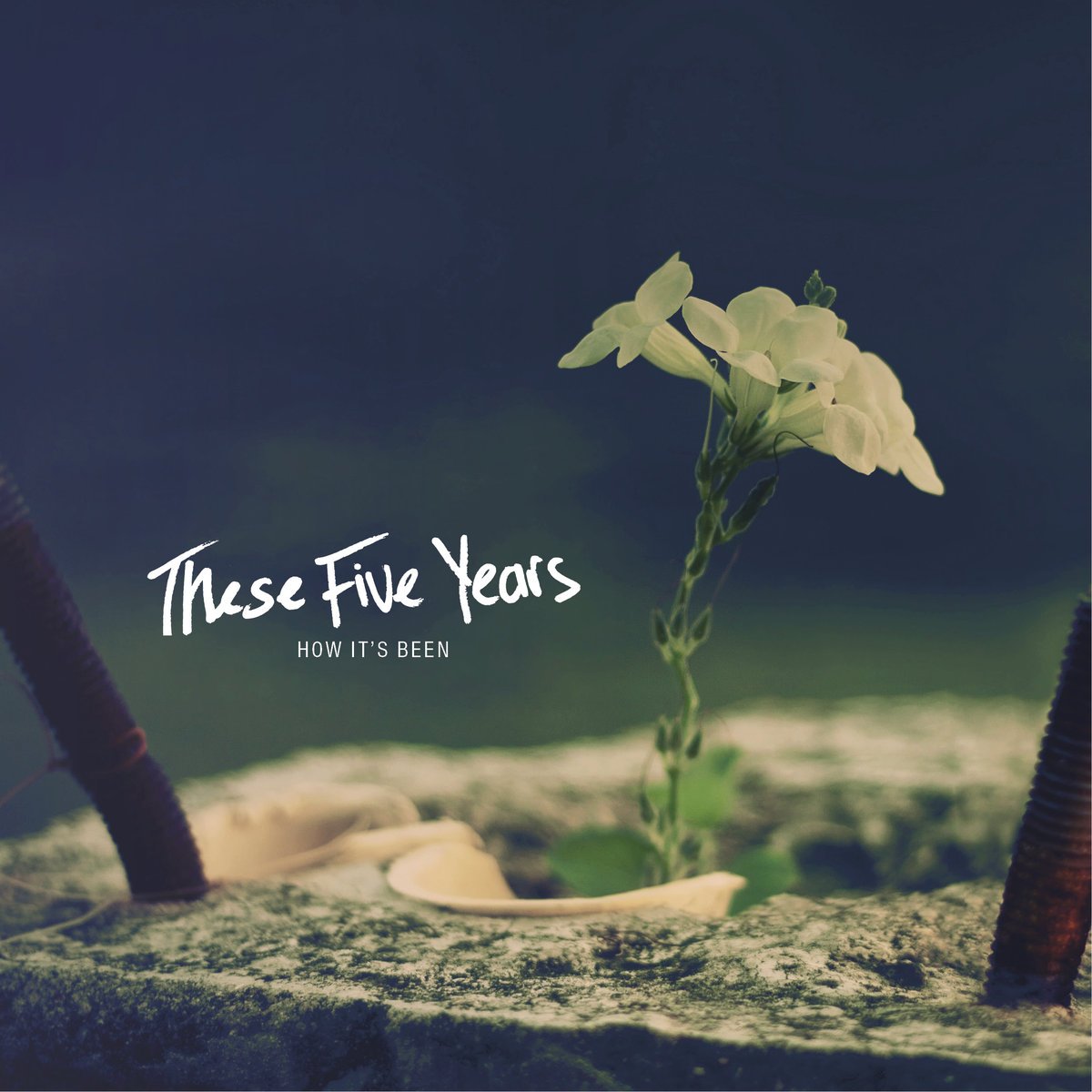 These Five Years-How Its Been-16BIT-WEB-FLAC-2018-VEXED