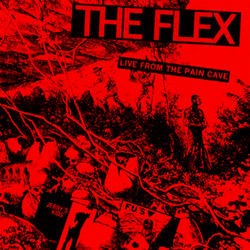 The Flex – Flexual Healing VI: Live From The Paincave (2016)