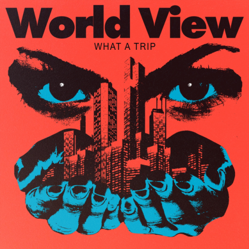 World View – What A Trip (2019)