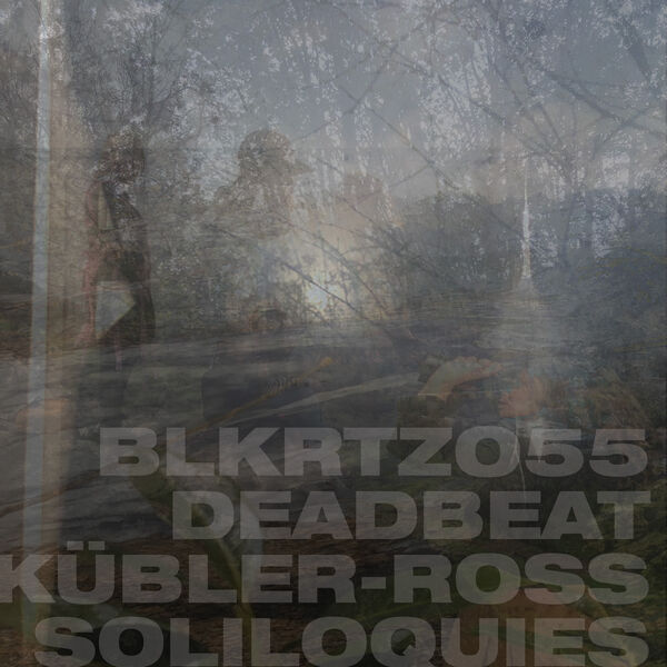 Deadbeat - Kübler-Ross Soliloquies (2023) [24Bit-44.1kHz] FLAC [PMEDIA] ⭐️ Download