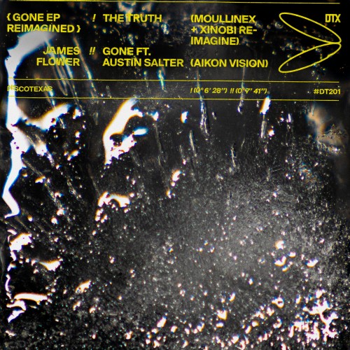 James Flower ft Austin Salter - Gone EP Reimagined (2023) Download