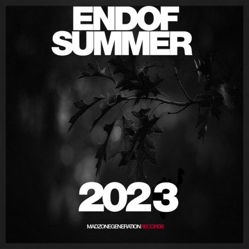 VA-End of Summer 2023-(BFCD62)-16BIT-WEB-FLAC-2023-PTC