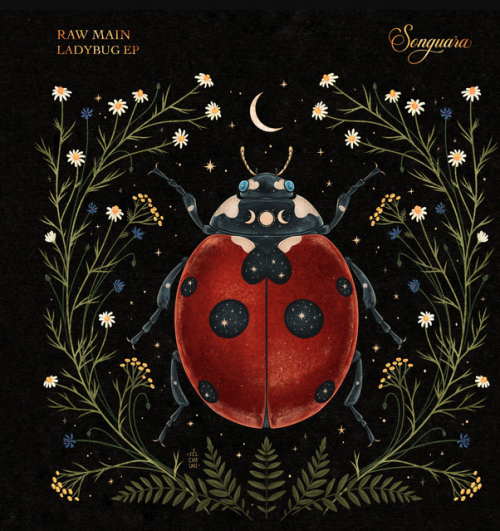 Raw Main - Ladybug (2023) Download