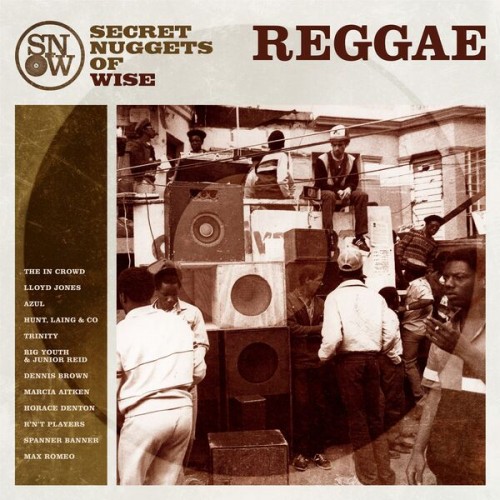 Various Artists – Secret Nuggets of Wise Reggae (2023) [24Bit-44.1kHz] FLAC [PMEDIA] ⭐️