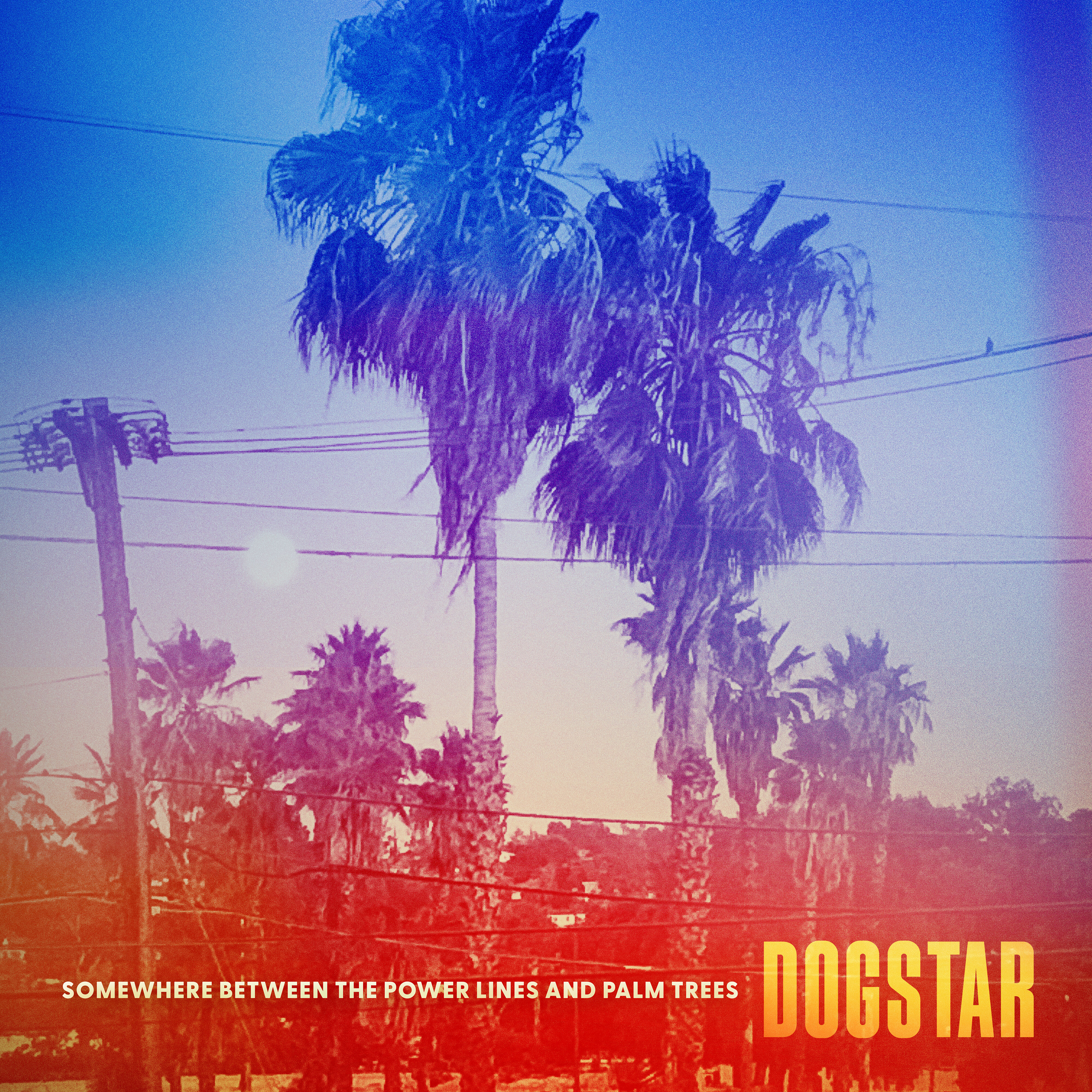 DOGSTAR - Somewhere Between the Power Lines and Palm Trees (2023) [24Bit-48kHz] FLAC [PMEDIA] ⭐️