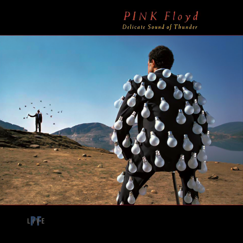 Pink Floyd-Delicate Sound Of Thunder-(PFR36BOX)-DELUXE EDITION BOXSET-2CD-FLAC-2020-WRE
